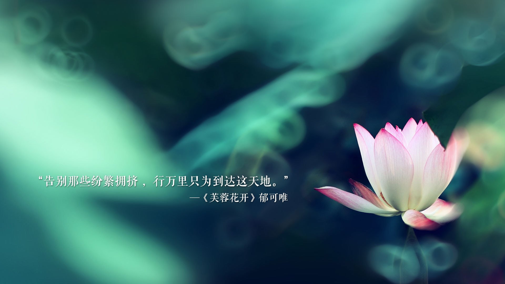 开云在线-“每秒激燃：点燃每一场比赛的极致激情”