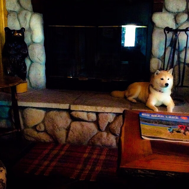 开云体育下载-皇马快速反击成胜负关键,战术升级,皇马 反击