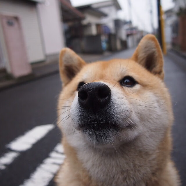 下载开云-背后玄机:豪门转会费背后的战术思考,2021豪门转会