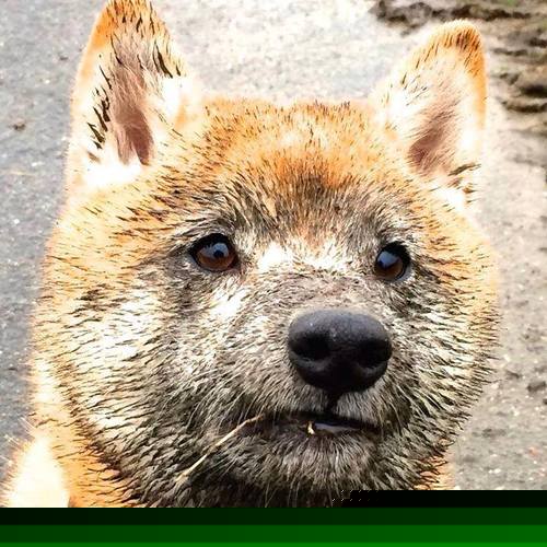 开云投注-西甲:巴萨2-2战平塞维利亚,莱万梅开二度难掩失误,巴萨1比0莱万特