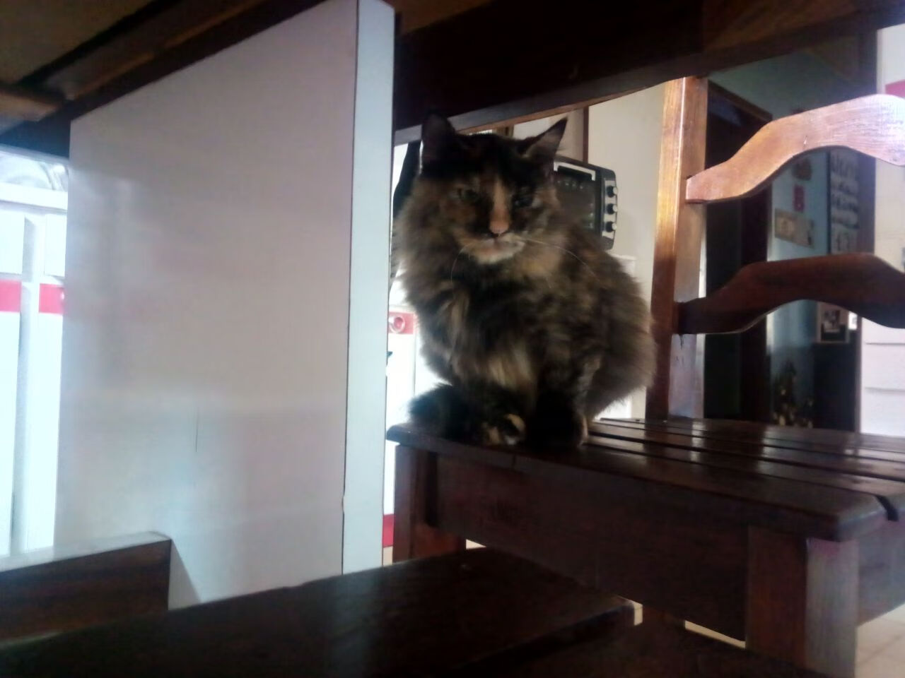 开云娱乐app安全登录-足球赛事数据包首次开放公众申请接口,足球数据api