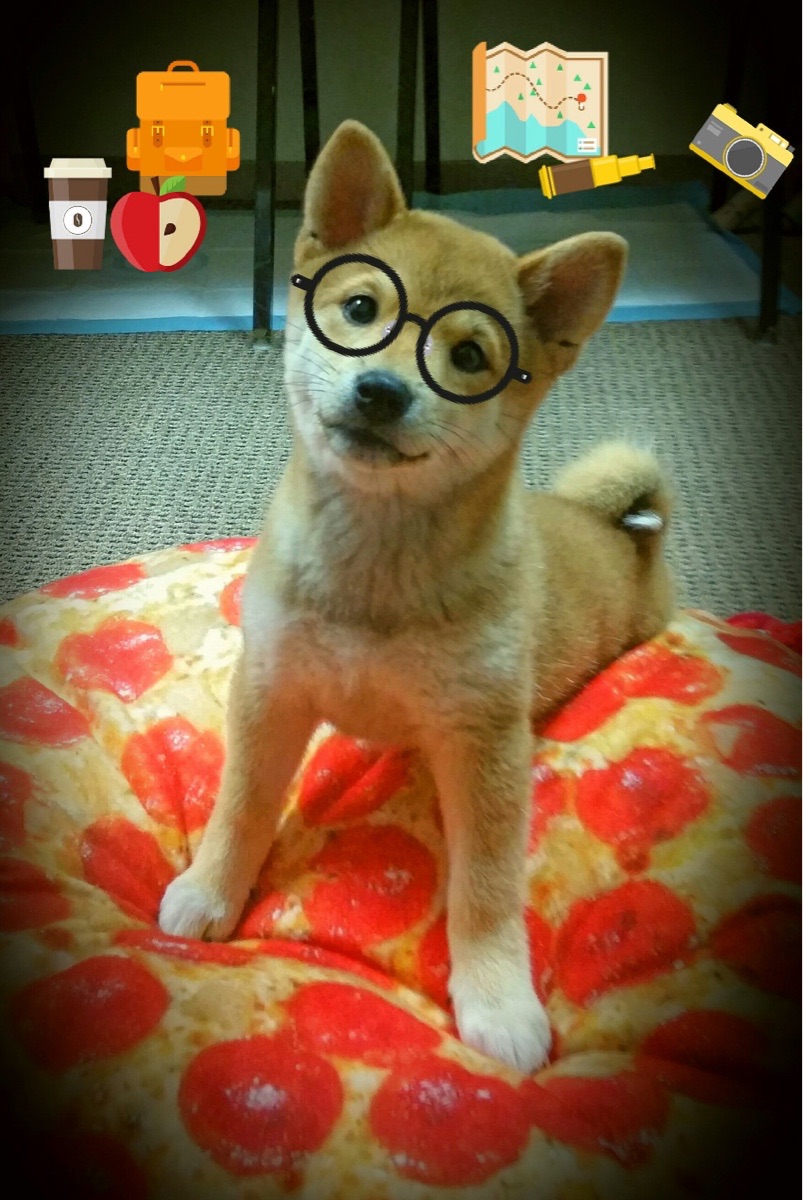 下载开云-中超球队团队配合日臻完善，中超全新队名