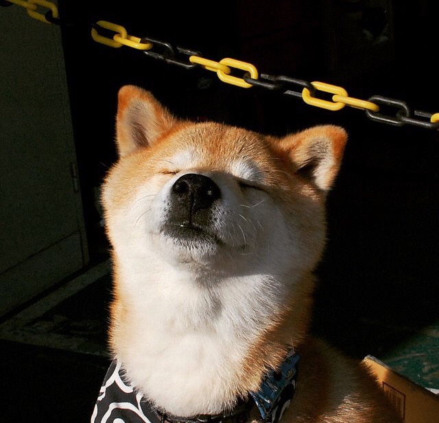 开云体育下载官网-全北现代主场迎来开门红,全北现代球队图片