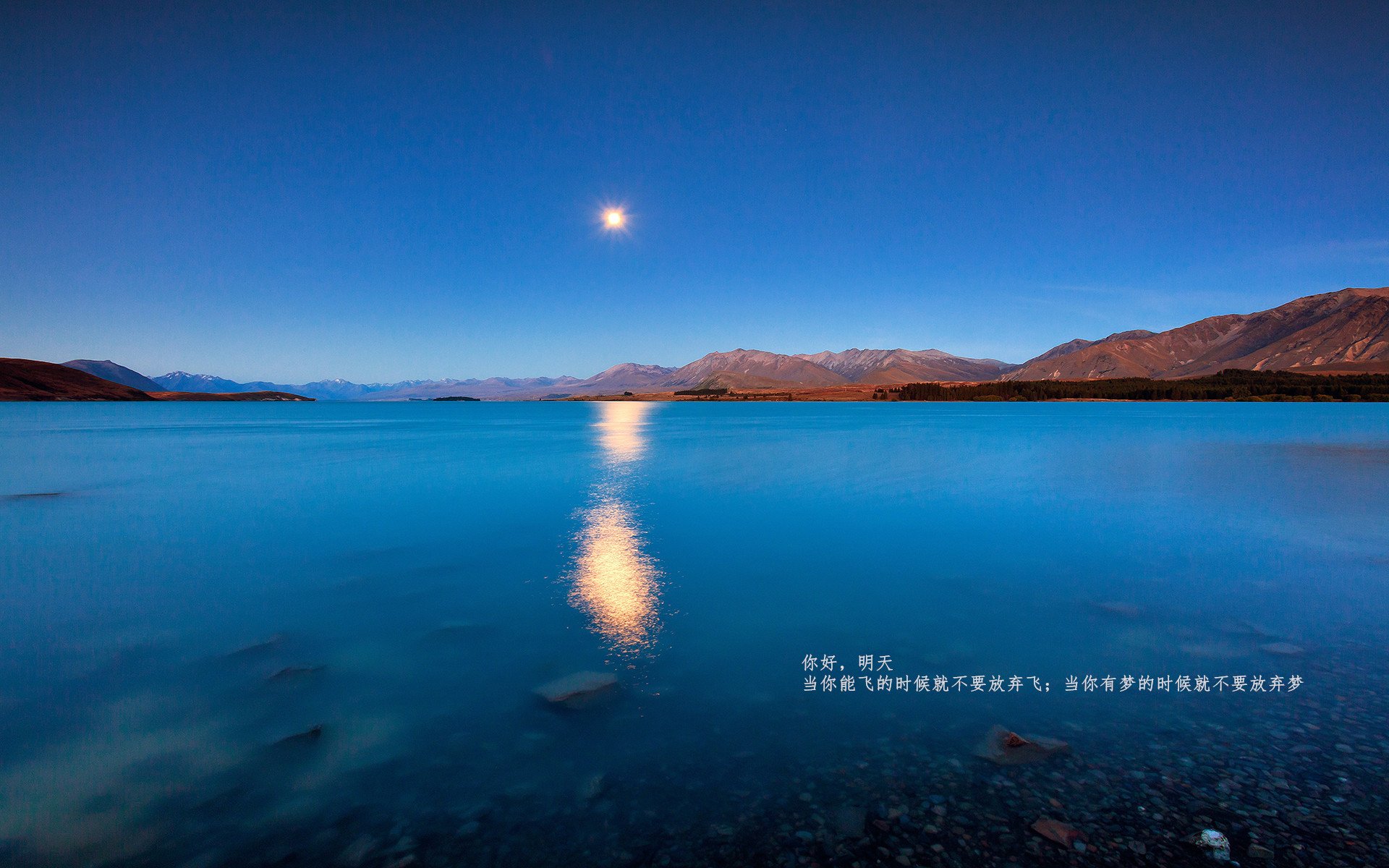 开云体育入口-国米主场大胜亚特兰大,洛卡特利梅开二度,国米vs卡利亚里