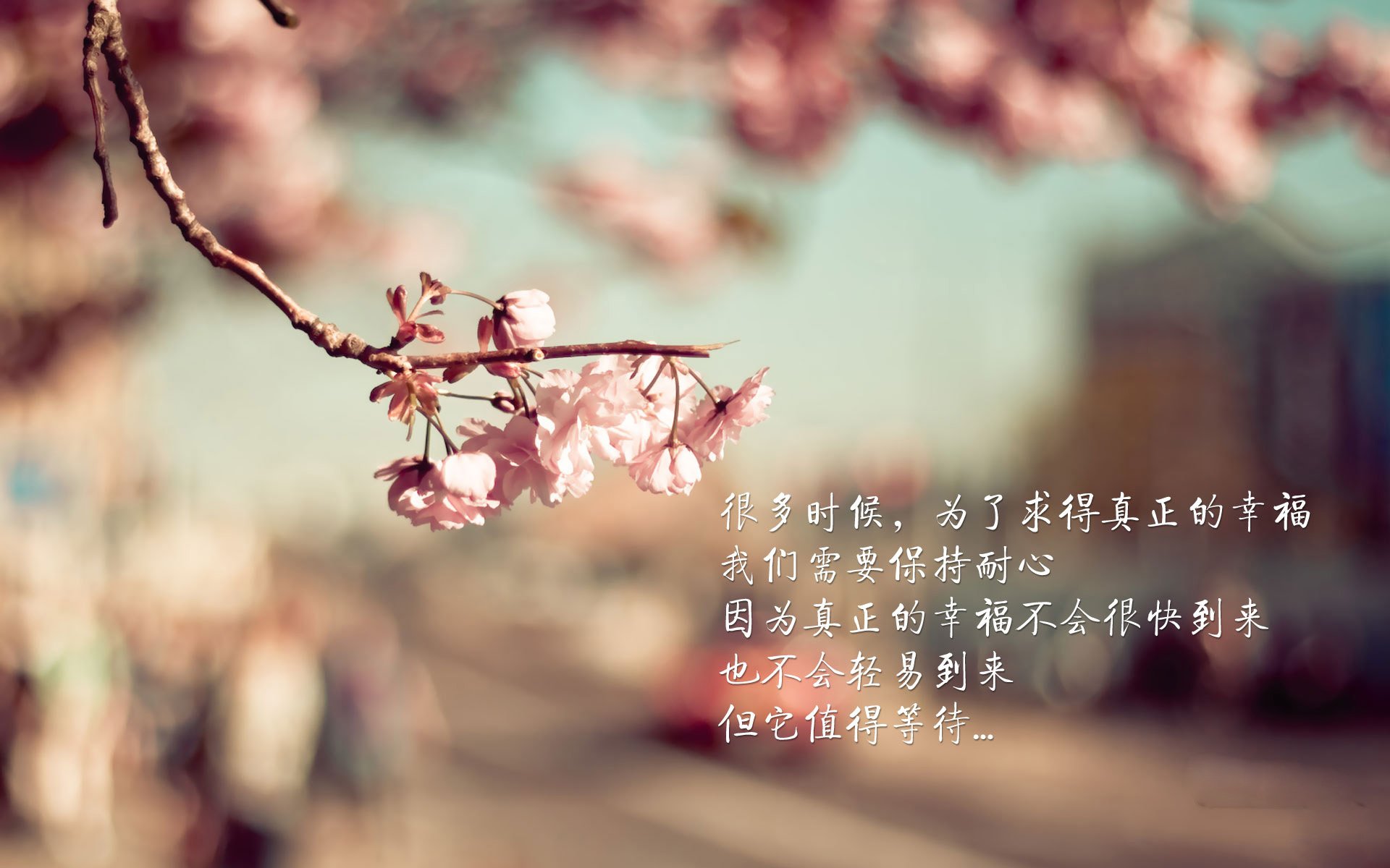 kaiyun xiazai-国际邀请赛门票火爆销售,国际邀请赛互动指南预测