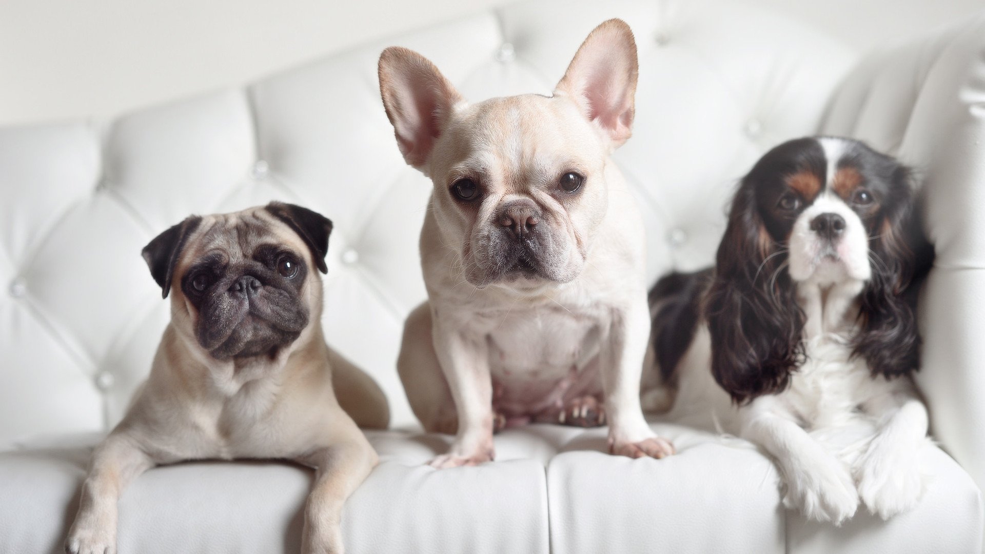 kaiyun-尤文图斯主场告负,陷入沉闷低谷,尤文图斯下场比赛