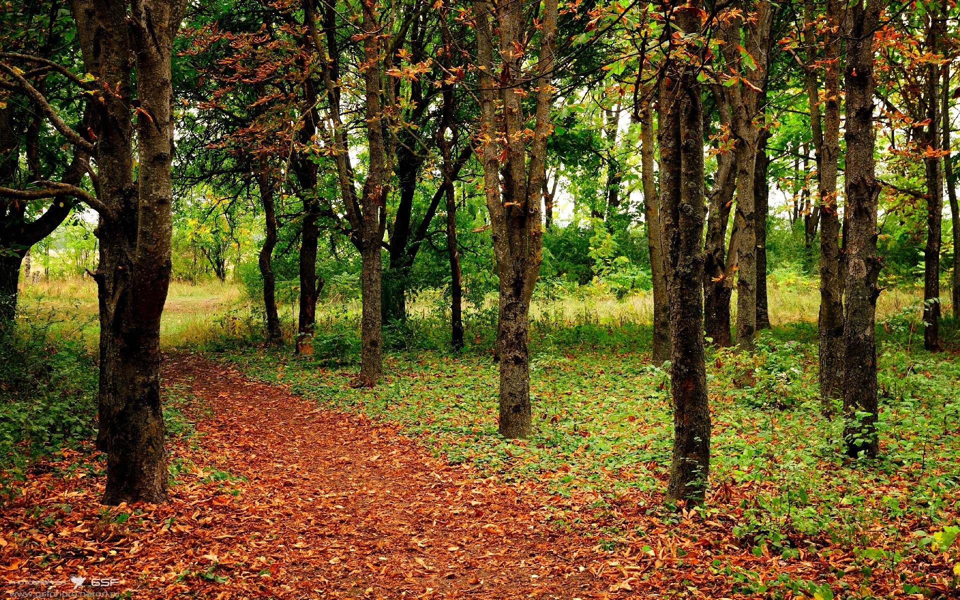 开云体育APP-强队实力碾压对手，领跑亚洲足球赛场，亚洲足球顶级赛事
