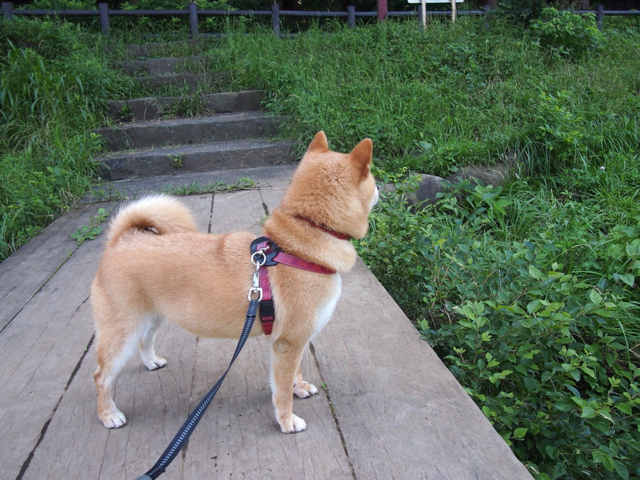 开云下载-世界帆板青年锦标赛中国小将发挥出色,全国帆板锦标赛