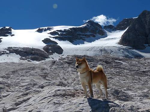 开云体育app安全下载-世界青年网球锦标赛中国晋级总决赛,世界青年网球排名