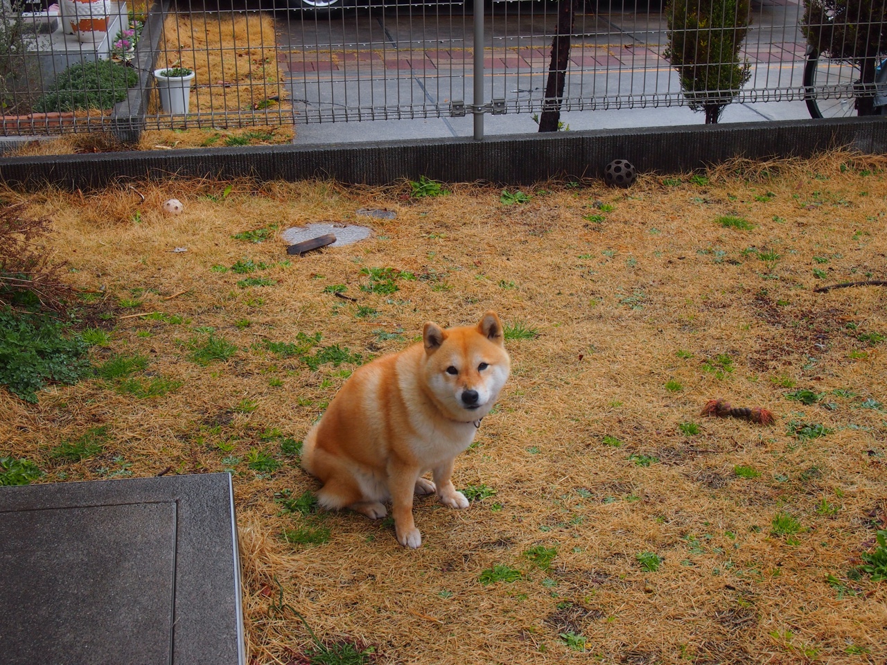 开云体育app安全下载-中超球队赛后恢复周期与下场表现关联,中超联赛恢复主客场