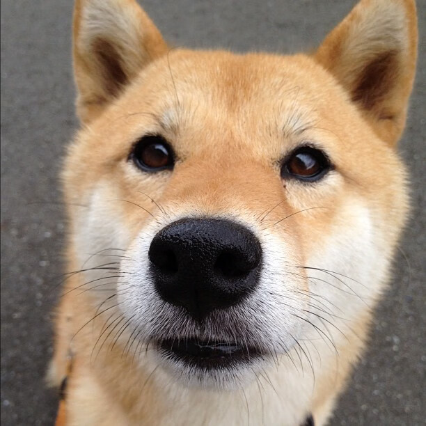 开云体育下载APP-俱乐部足球:巴萨与皇马的宿命对决引爆球迷热情,巴萨和皇马什么关系