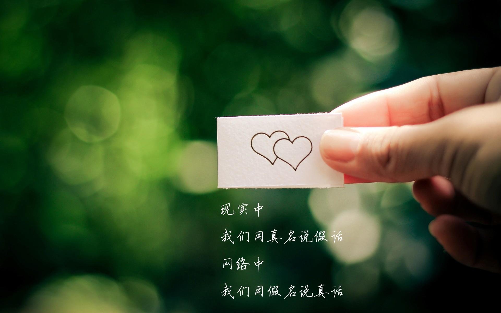 开云娱乐app安全登录-“缆绳滑水:东桃花岛赛场新风尚,水面竞速超越极限”