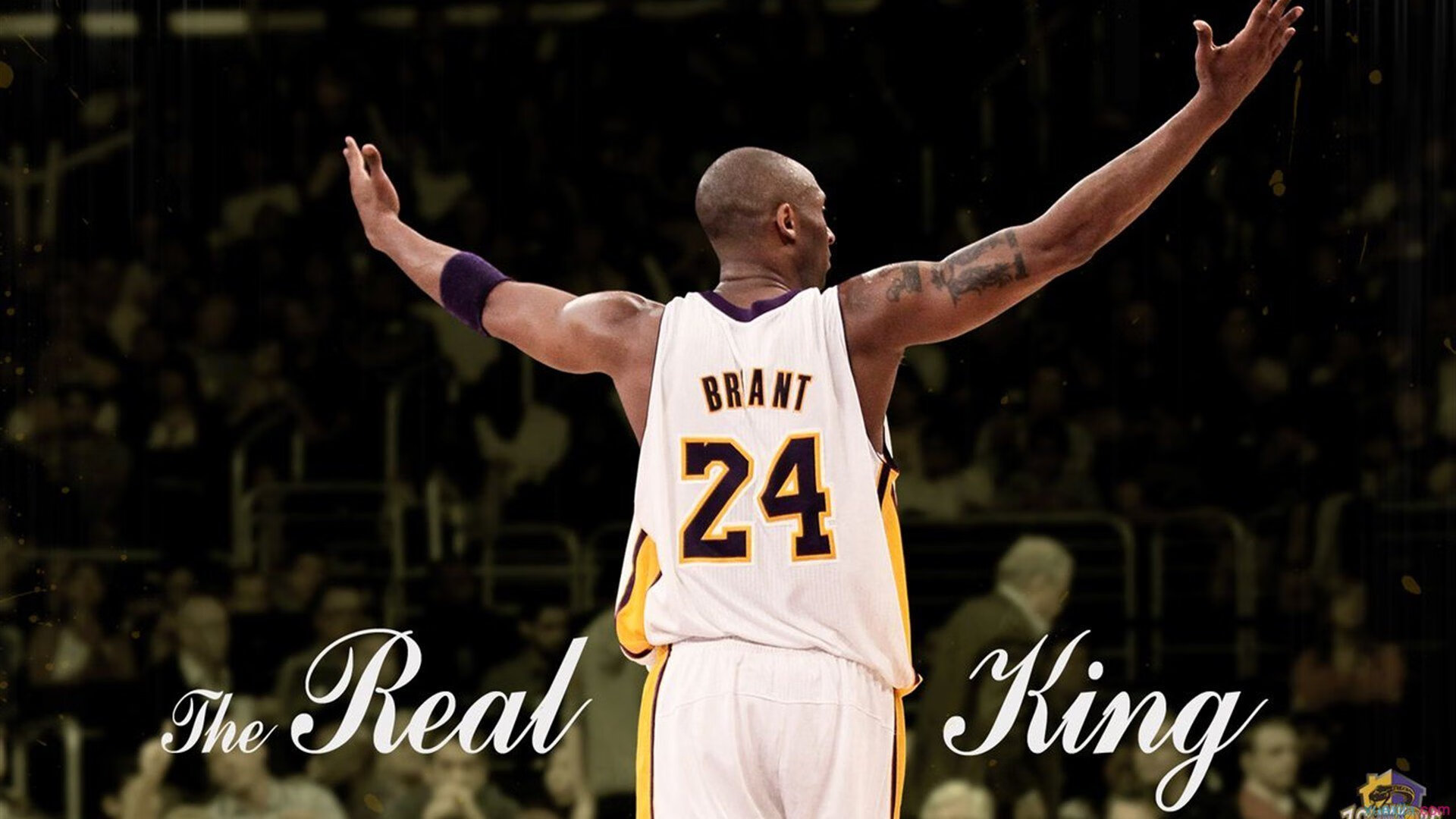 国际拳击联合会举办裁判培训班，国际拳击联合会拳王